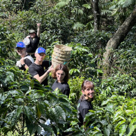 1-FINCA-RIO-COLORADO-DIBA-70-caffè