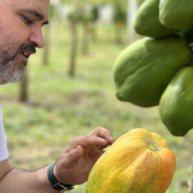 2-Biodiversità-Finca-Rio-Colorado-diba-70