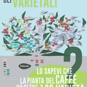 2-b.farm-Albero Varietali-caffè-diba-70