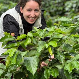 6-AGRICOLTURA-Honduras-diba70-caffè