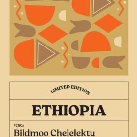 6-Ethiopia-filtro-diba-70