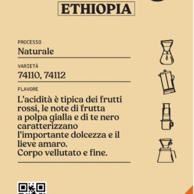 7-Ethiopia-filtro-diba-70