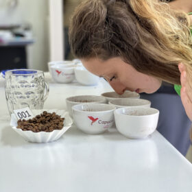 2-cupping-honduras-caffè-diba-70