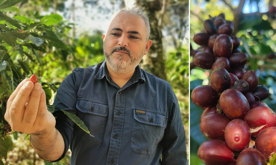 Diba 70 Shop, porte aperte per scoprire la filiera del caffè e come diventare aromateller